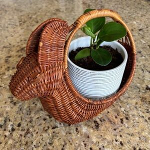 Wicker Rabbit Basket woven wood‎ planter
